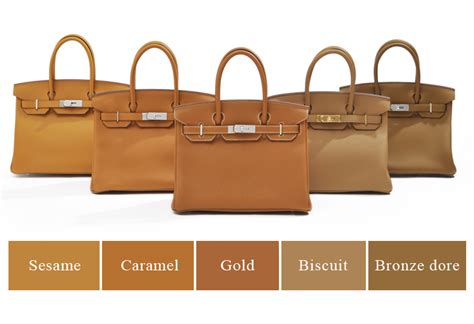 hermes biscuit color vs gold|are Hermes colors brighter.